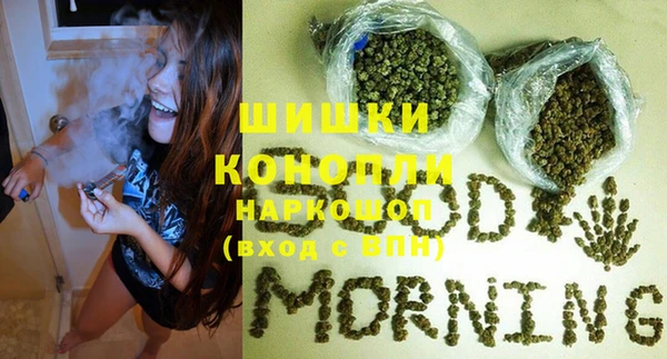 тгк Няндома