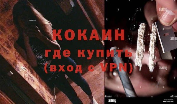 тгк Няндома