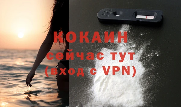 тгк Няндома