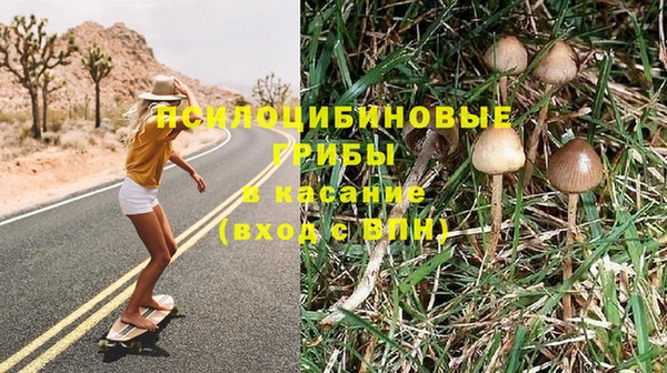 тгк Няндома