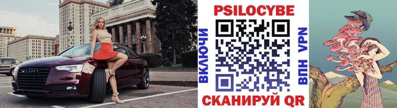 купить наркотик  Кодинск  Псилоцибиновые грибы Psilocybine cubensis 